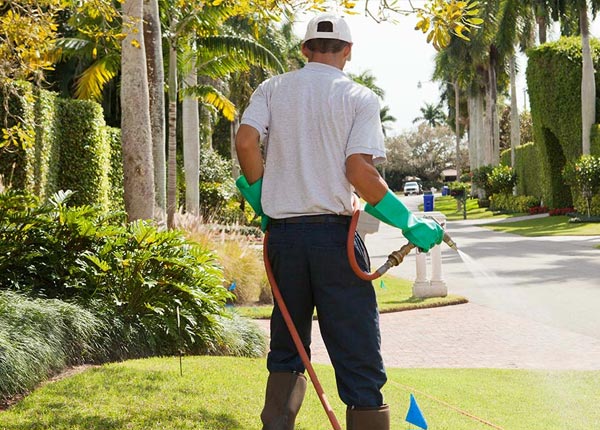 About Shenandoah IA Pest Control